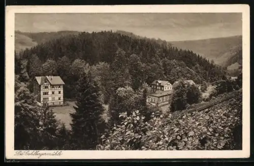 AK Oberhof-Gehlberg, Gehlberger Mühle mit Umgebung