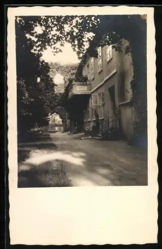 Foto-AK Zehdenick, Kloster, Dominakhaus