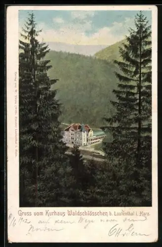 Lithographie Lautenthal i. Harz, Kurhaus Waldschlösschen