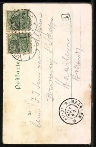 Lithographie Lautenthal i. Harz, Kurhaus Waldschlösschen