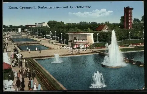 AK Essen, Gruga-Park, Farbenterrassen mit Leuchtfontäne
