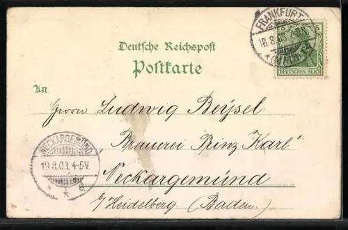 Lithographie Hamburg, Allgemeine Gartenbau Ausstellung 1897 Hängebrücke, Haupt-Ausstellungsgebäude