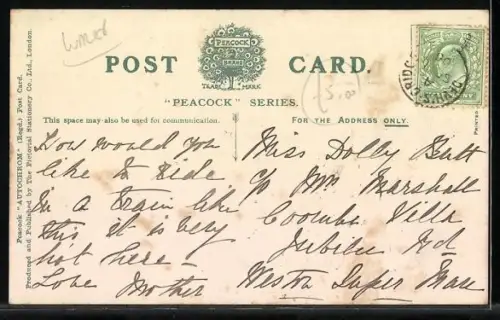 AK Vale of Reidol Railway, Kleinbahn