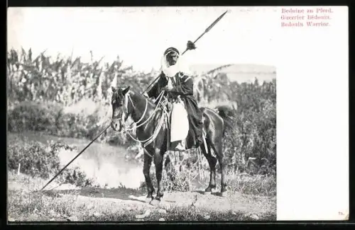 AK Beduine zu Pferd