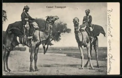 AK Zwei Reiter auf Kamelen