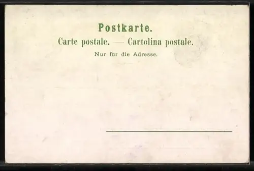 Lithographie Basel, Alte Rheinbrücke und Spalenthor