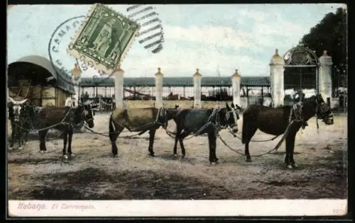 AK Habana, El Carromato