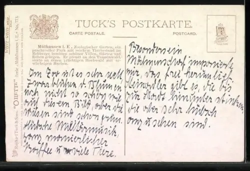 Künstler-AK Mülhausen i. Els., Zoologischer Garten