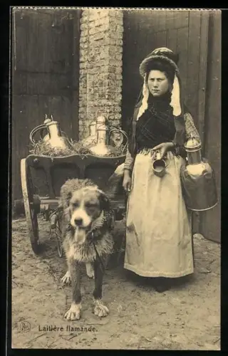 AK Hundegespann hilft bei der Auslieferung der Milch