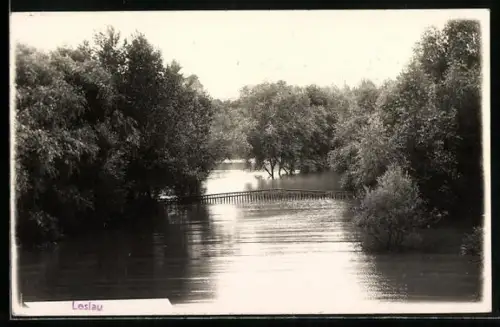 Foto-AK Leslau, Hochwasser im Ort, Überschwemmte Brücke