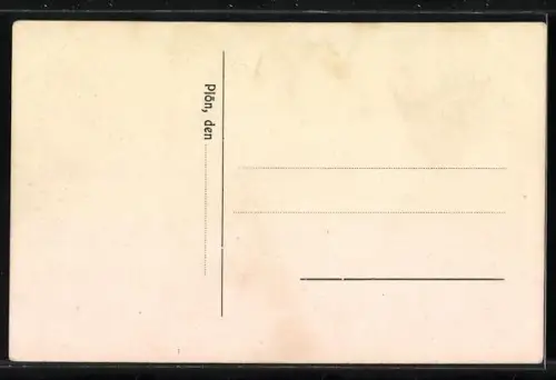 AK Plön, Blick über den See auf Schloss und Kirche