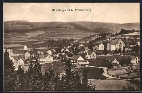 AK Büschergrund b. Freudenberg, Ortsansicht mit Wohnhäusern