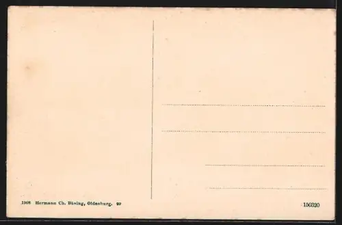 AK Oldenburg / O., Schlossplatz