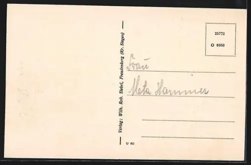 AK Freudenberg /Siegen, Ortsansicht aus der Vogelschau