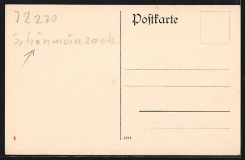 AK Schönmünzach, Ortsansicht mit Wohnhäusern