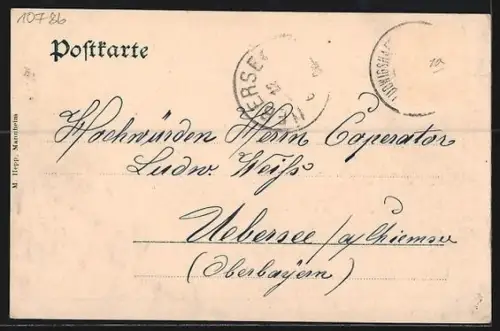 AK Ludwigshafen / Rhein, Blick auf den Marktplatz