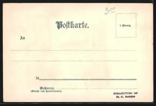 Künstler-Lithographie Carl Münch: Mainz, Totalansicht