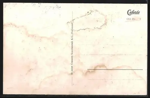 AK Oldenburg i. O., Langestrasse mit Geschäften und Lappanturm