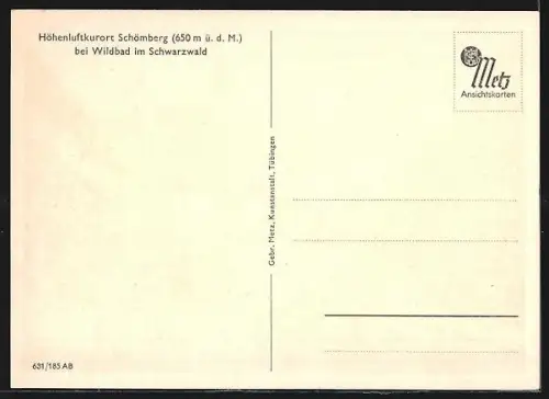 AK Schömberg / Schwarzwald, Strassenpartie mit Apotheke