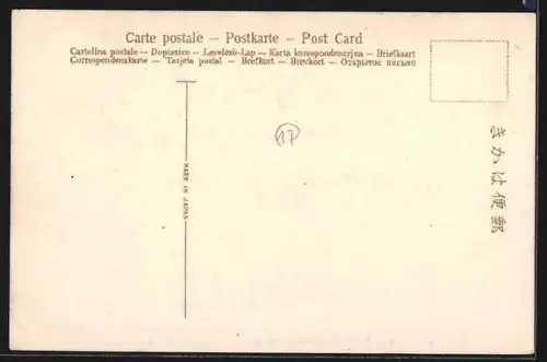 AK Nikko, Entrance of Toshogu