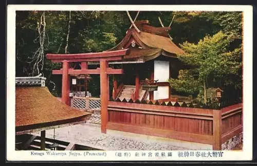 AK Jinjya, Kasuga Wakamiya, Protected