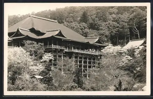 AK Kyoto, Temple by the forest
