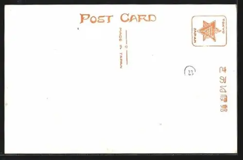 AK Tokyo, The Tokyo assembly-holl