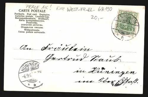 Präge-AK Ensisheim /Elsass, Rathaus, Schneeglöckchen-Rahmen