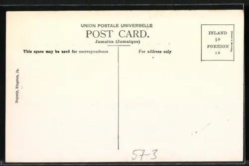 AK Jamaica, Cactus