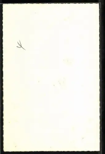 AK Musiker Andre Verchuren mit Akkordeon, Autograph