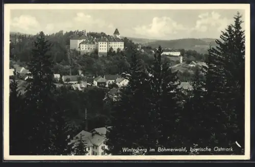 AK Winterberg im Böhmerwald, Ortsansicht mit Bäumen