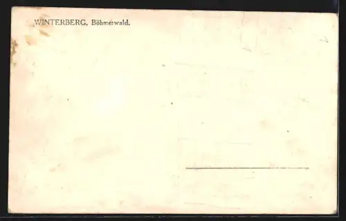 AK Vimperk /Sumava, Panorama