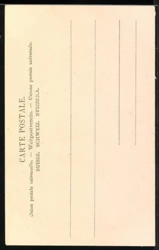 AK Lausanne, Premiére Assermentation du Grand Conseil à la Cathédrale 1803