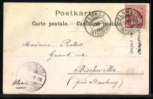 Lithographie Blick zum Matterhorn mit Blumen