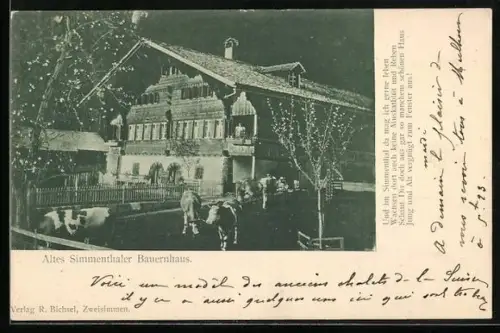 AK Simmenthaler Bauernhaus mit Kühen