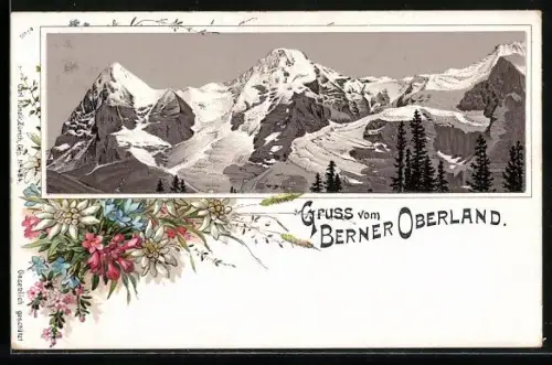 Lithographie Bergpanorama aus dem Berner Oberland