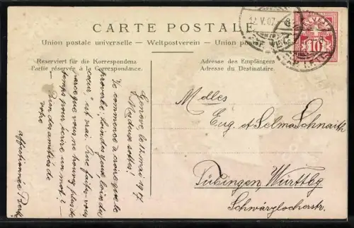 AK Schweiz, Helvetia, Wappen der Kantone, Edelweiss