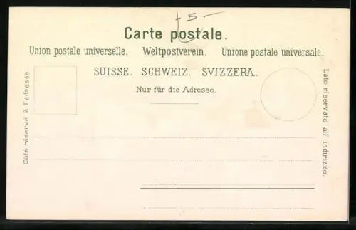 Lithographie Schweiz, Landkarte mit den Kantonen der Schweiz, Wappen