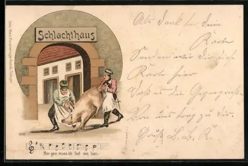 AK Zwei Fleischer treiben ein Schwein zum Schlachthaus