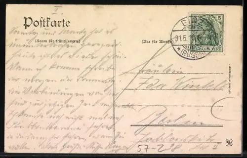 AK Rügen, Stamm und Äste der Hertha-Buche