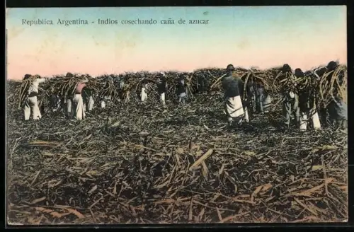 AK Argentina, Indios cosechando cana de azucar, Zucker