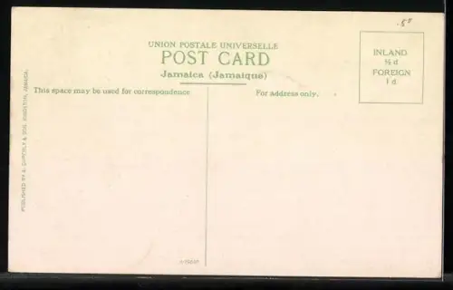 AK Jamaica, Going to Market with Yams and Canes. Constant Spring Road