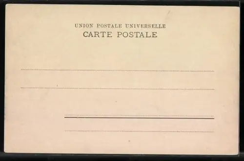 AK Smyrne, Chameaux Pehlavans (lutteurs)