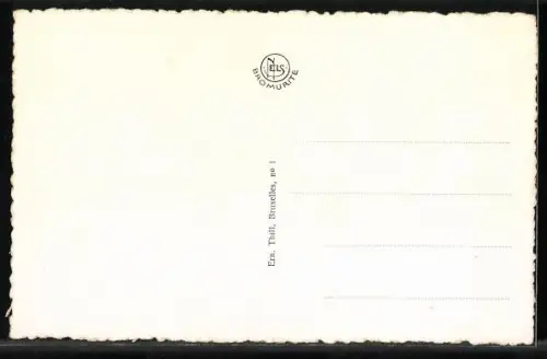 AK Meenen, groote Markt er Belfort