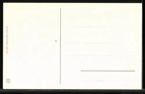 AK Stein am Rhein, Ortsansicht mit Schloss Hohenklinger, Ruderboote