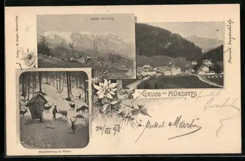 AK Mürzsteg, Hohe Veitsch, Ortsansicht, Hirschfütterung