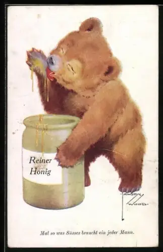 Künstler-AK Lawson Wood: Bär nascht Bienenhonig