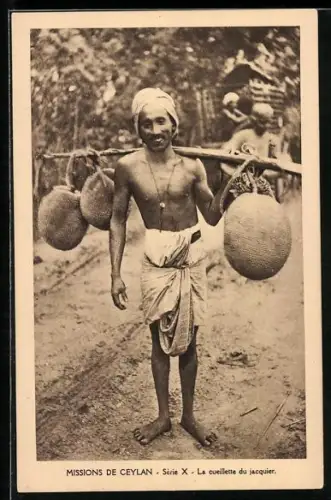 AK Missions de Ceylan, La cueillette du jacquier