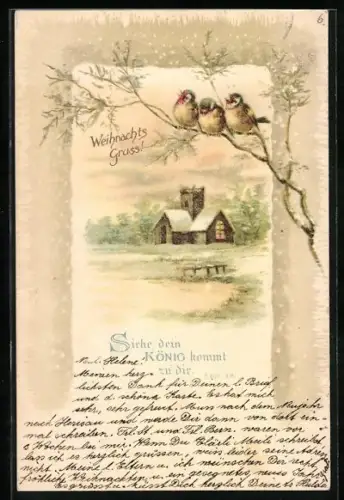 AK Winterlandschaft mit Vögeln im Baum, Siehe, dein König kommt zu dir, Sach. 9, 9, Sinnspruch, Weihnachtsgruss
