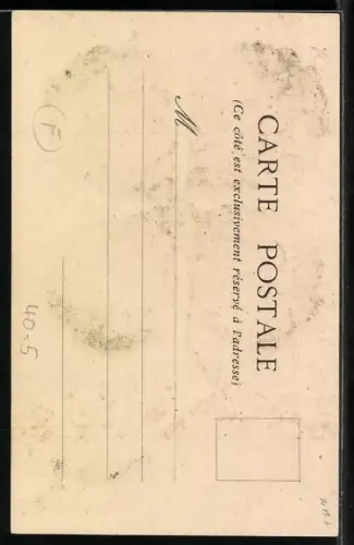 AK Schuhe auf einem Kleeblatt, Schwein am Zaun, Erotik